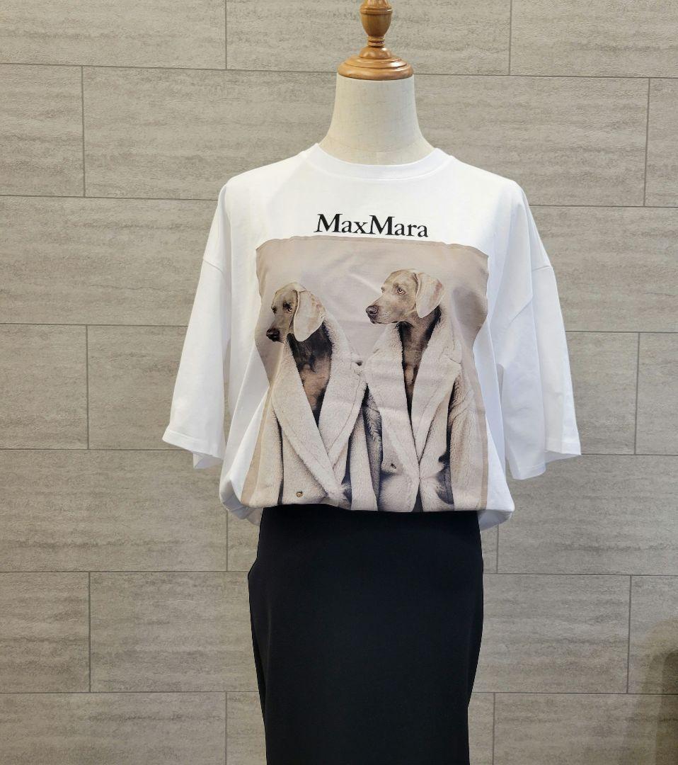 ★新品未使用★Max Mara ウェグマンプリント Tシャツ M サイズ展開あり