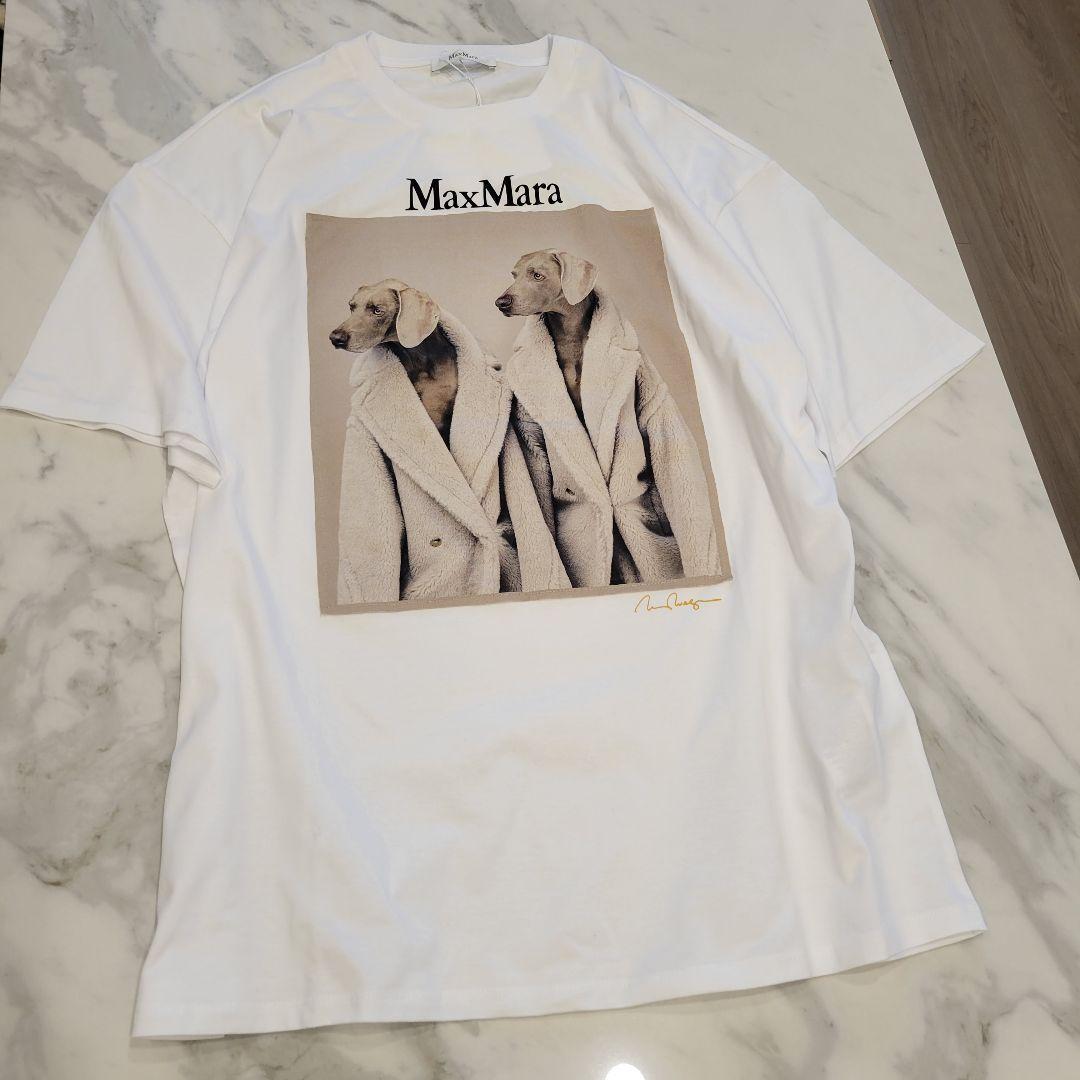 ★新品未使用★Max Mara ウェグマンプリント Tシャツ M サイズ展開あり