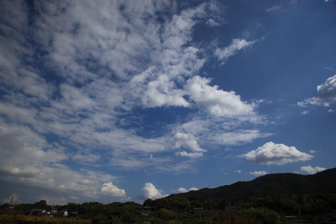 Canon EOS-1   動作確認済