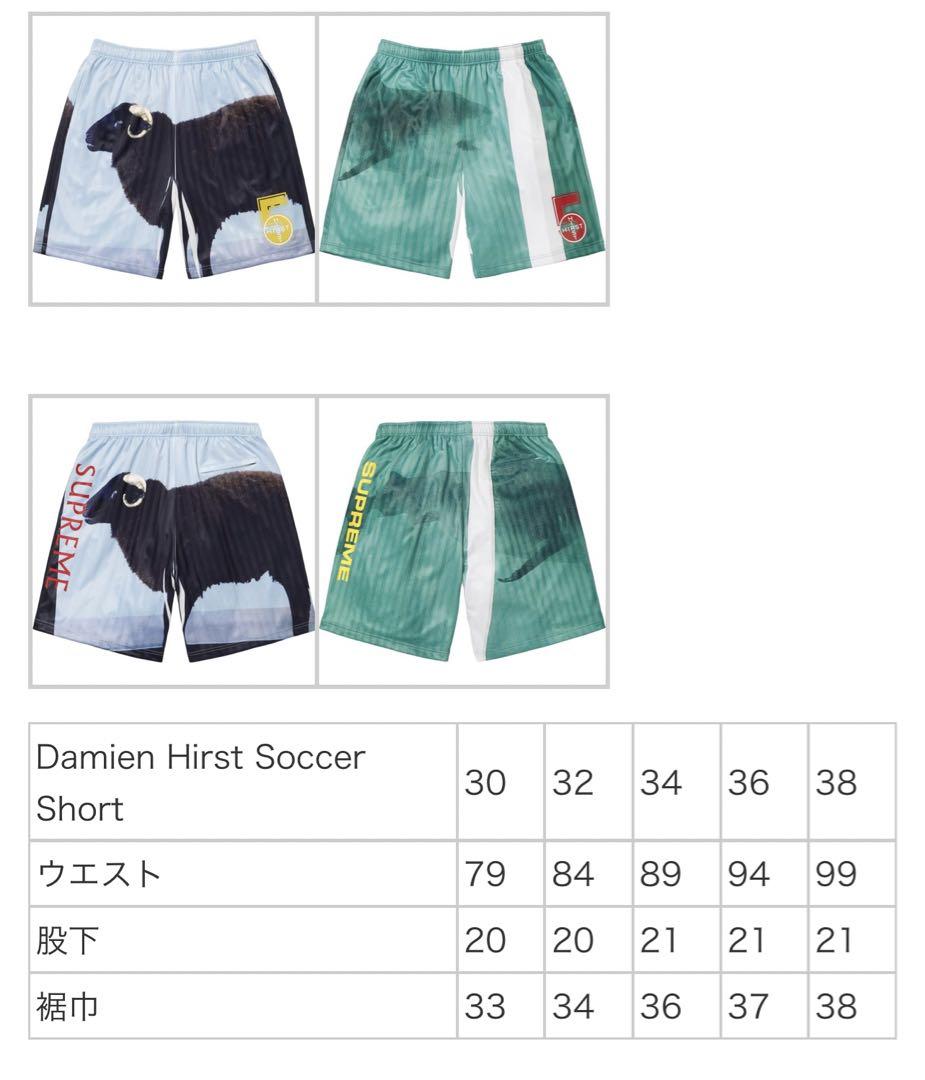 Supreme/Damien Hirst Soccer Short - Shop - Supreme