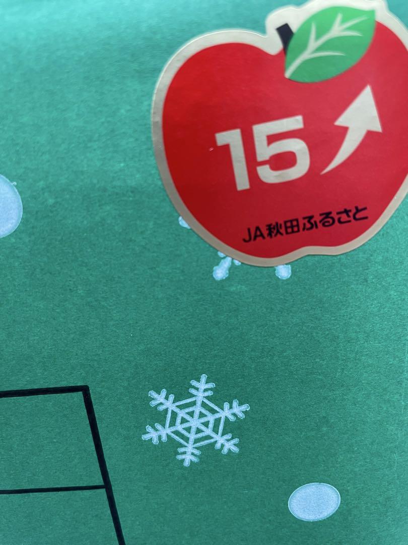 秋田産サンふじりんご10kg！糖度15度以上！