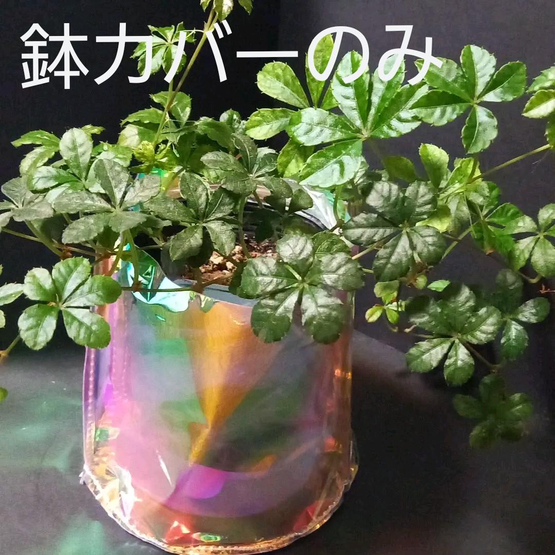 オーロラビニール鉢カバー 鉢受け メルカリ