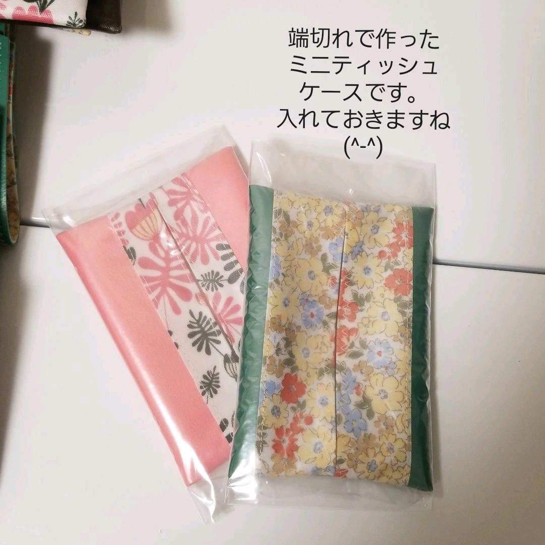 すぐったレディース福袋 オーダーマスクケース9枚ポーチ2枚 ファッション雑貨 Www Kachinastainedglass Com
