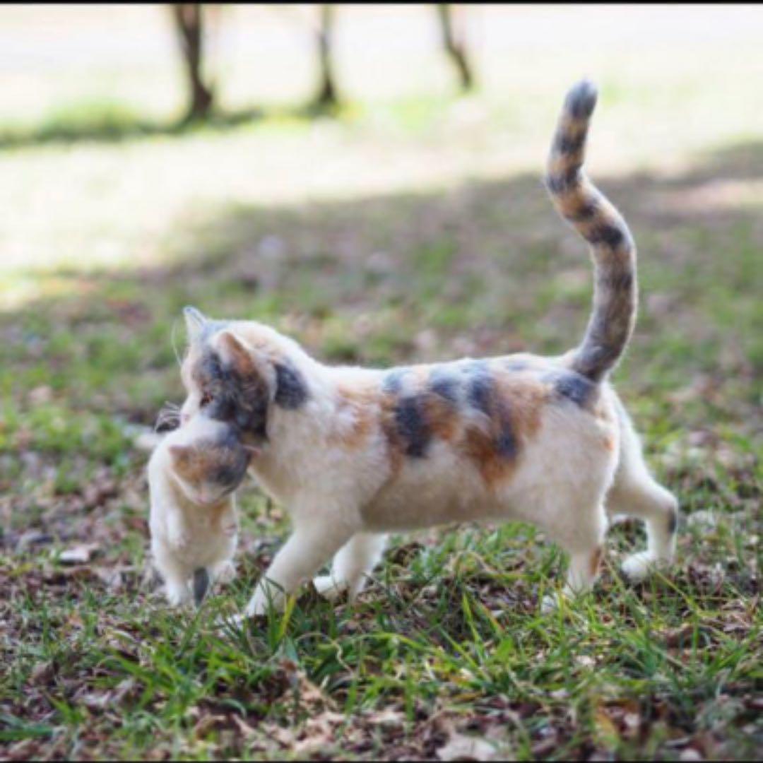 メルカリ 羊毛フェルト ハンドメイド 三毛猫 子猫を運ぶ 親子猫2匹セット おもちゃ 人形 9 999 999 中古や未使用のフリマ メルカリ 羊毛フェルト ハンドメイド 三毛猫 子猫を運ぶ 親子猫2匹セット おもちゃ 人形 9 999 999 中古や未使用のフリマ