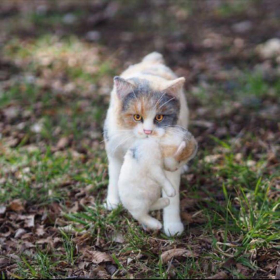 メルカリ 羊毛フェルト ハンドメイド 三毛猫 子猫を運ぶ 親子猫2匹セット おもちゃ 人形 9 999 999 中古や未使用のフリマ メルカリ 羊毛フェルト ハンドメイド 三毛猫 子猫を運ぶ 親子猫2匹セット おもちゃ 人形 9 999 999 中古や未使用のフリマ