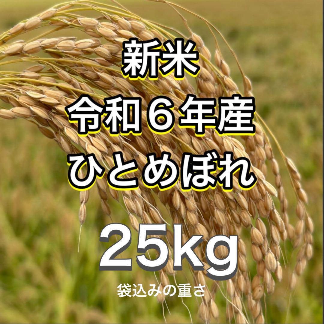 【新米】ひとめぼれ 玄米25kg 送料込