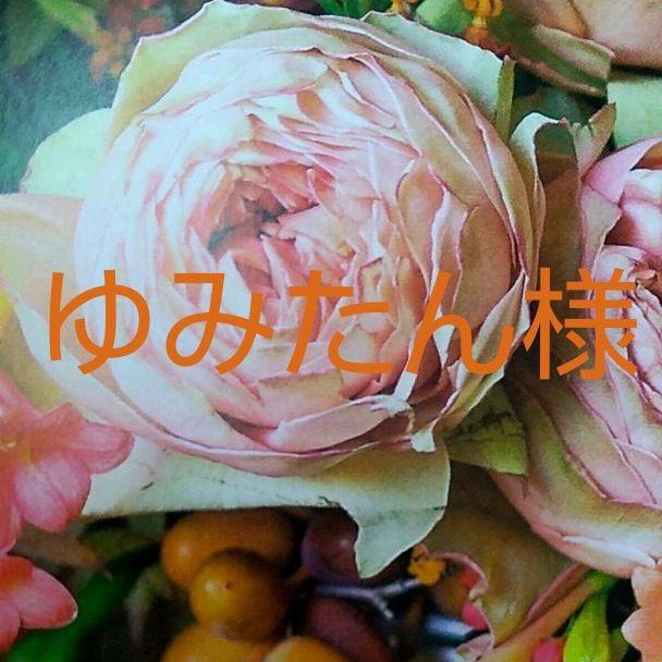 39%割引 特売 ゆみたん様 専用 洗顔料 コスメ・香水・美容 【全品送料無料】 Yumiさん専用です。他の方の購入はお控えください。 ロッド