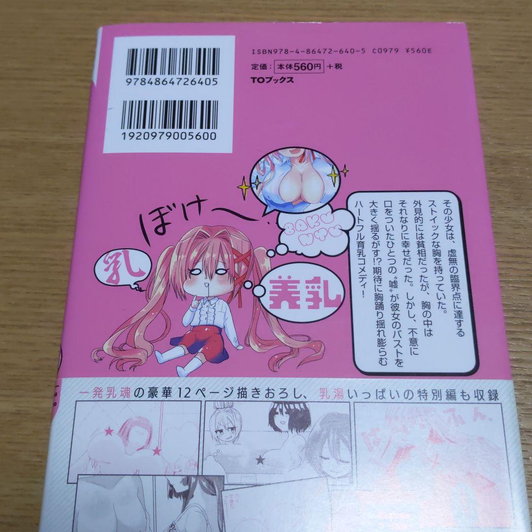 メルカリ 嘘つきは爆乳の始まり 1 漫画 499 中古や未使用のフリマ メルカリ 嘘つきは爆乳の始まり 1 漫画 499 中古や未使用のフリマ
