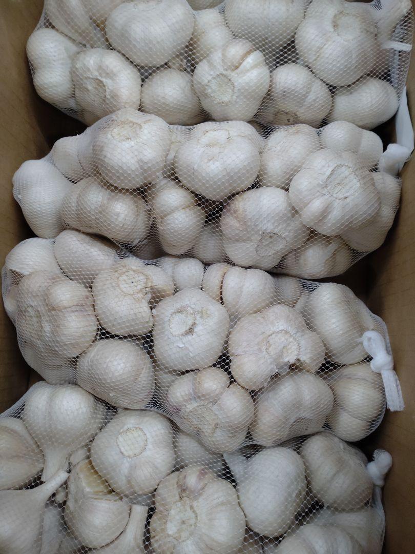 青森県産にんにくM10kg