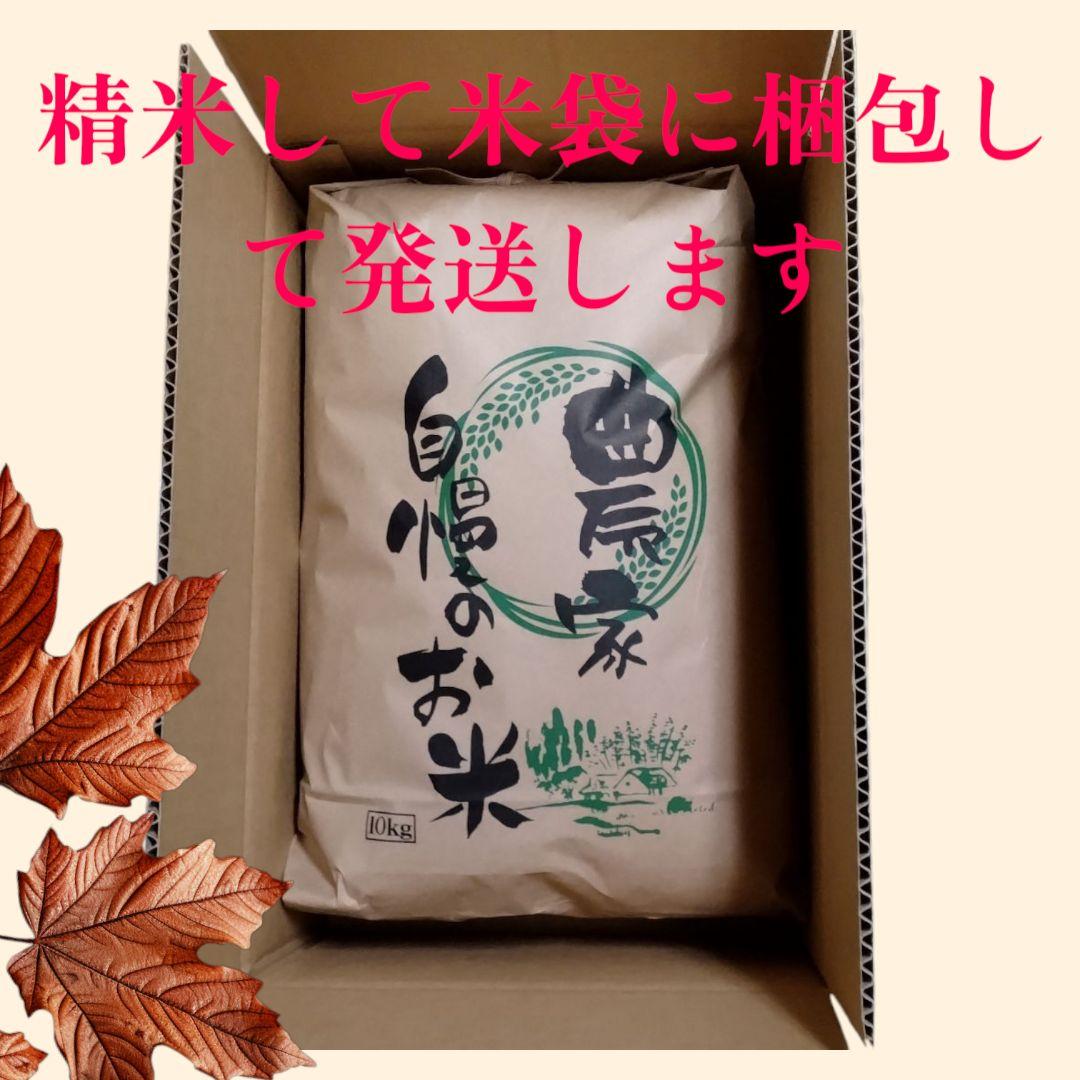 2023年産 コシヒカリ 10kg 福島県産