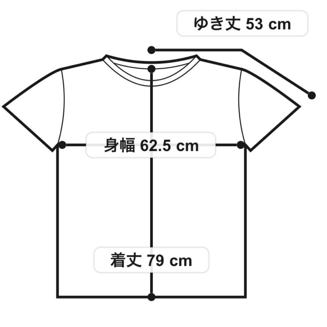 Columbia × BEAMS / 別注　メンズ半袖TシャツXL