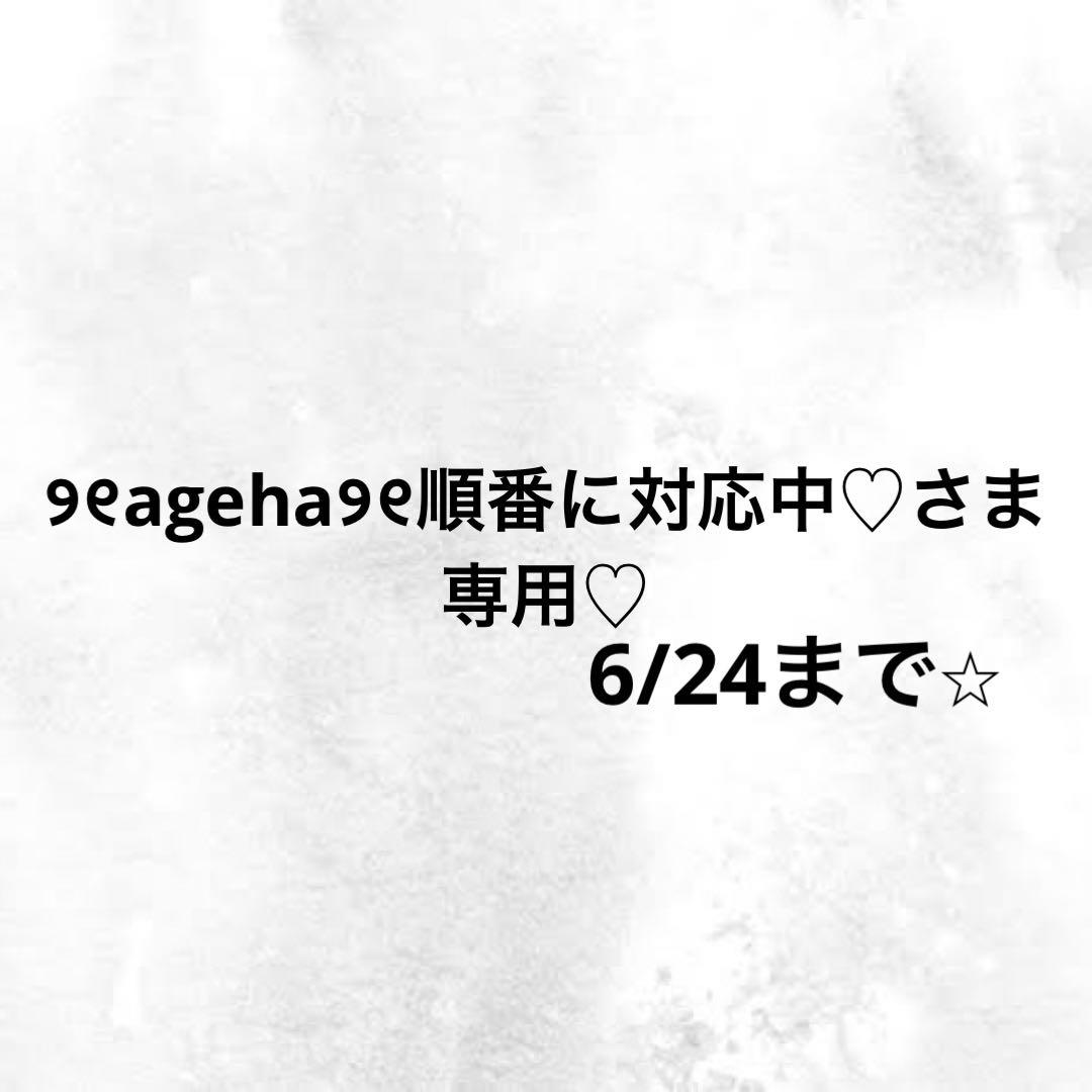 ୨୧ageha୨୧順番に対応中♡さま専用ページ♡