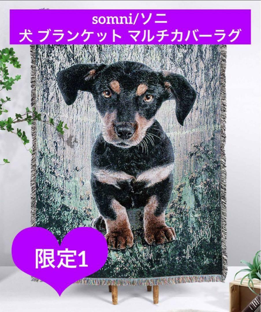 somni/ソニ 犬 ブランケット マルチカバーラグ ミニチュアダックスフンド