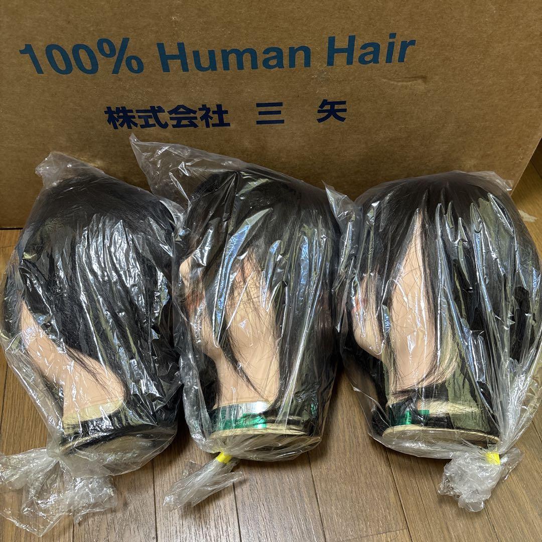 国家試験練習用カットウィッグ　三矢　新品未使用　3台