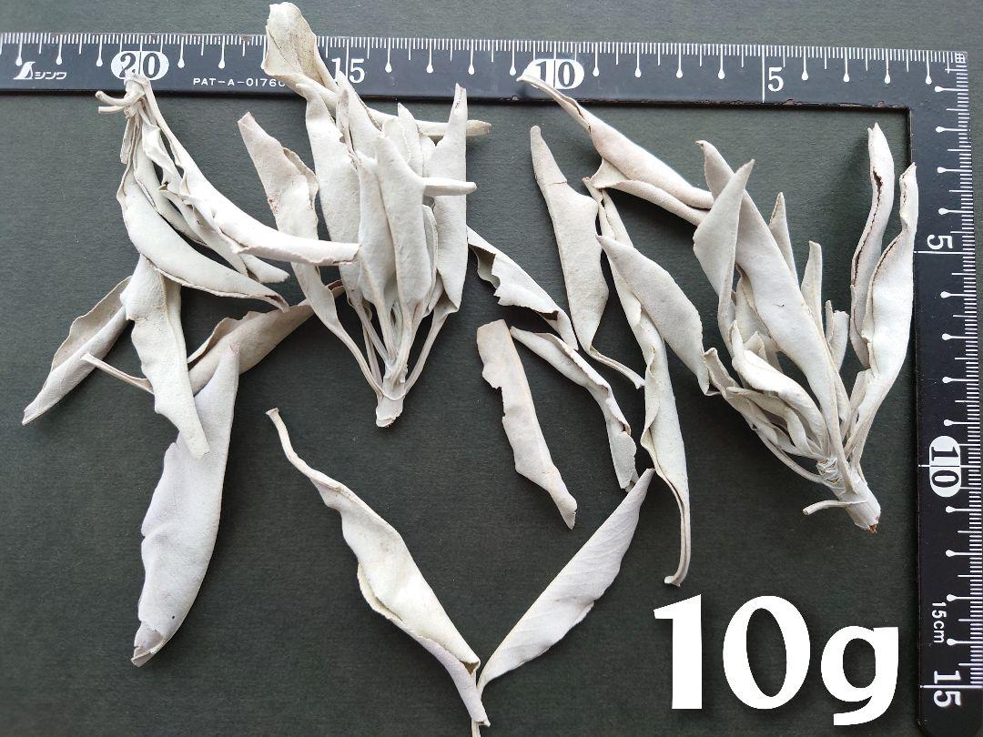 ホワイトセージ 枝付き リーフ 無農薬 1kg