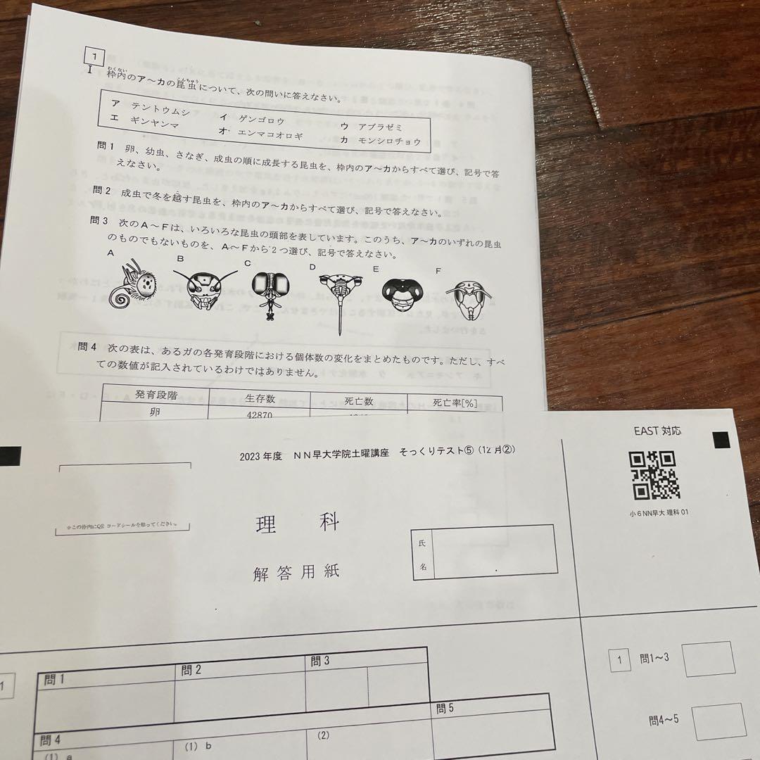未使用2024年受験用NN早大学院クラス後期土曜講座そっくりテスト