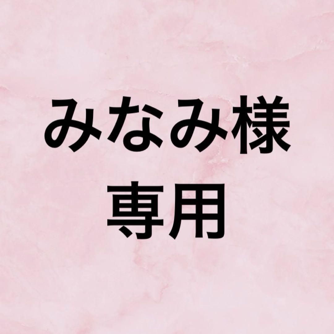 みなみ様専用