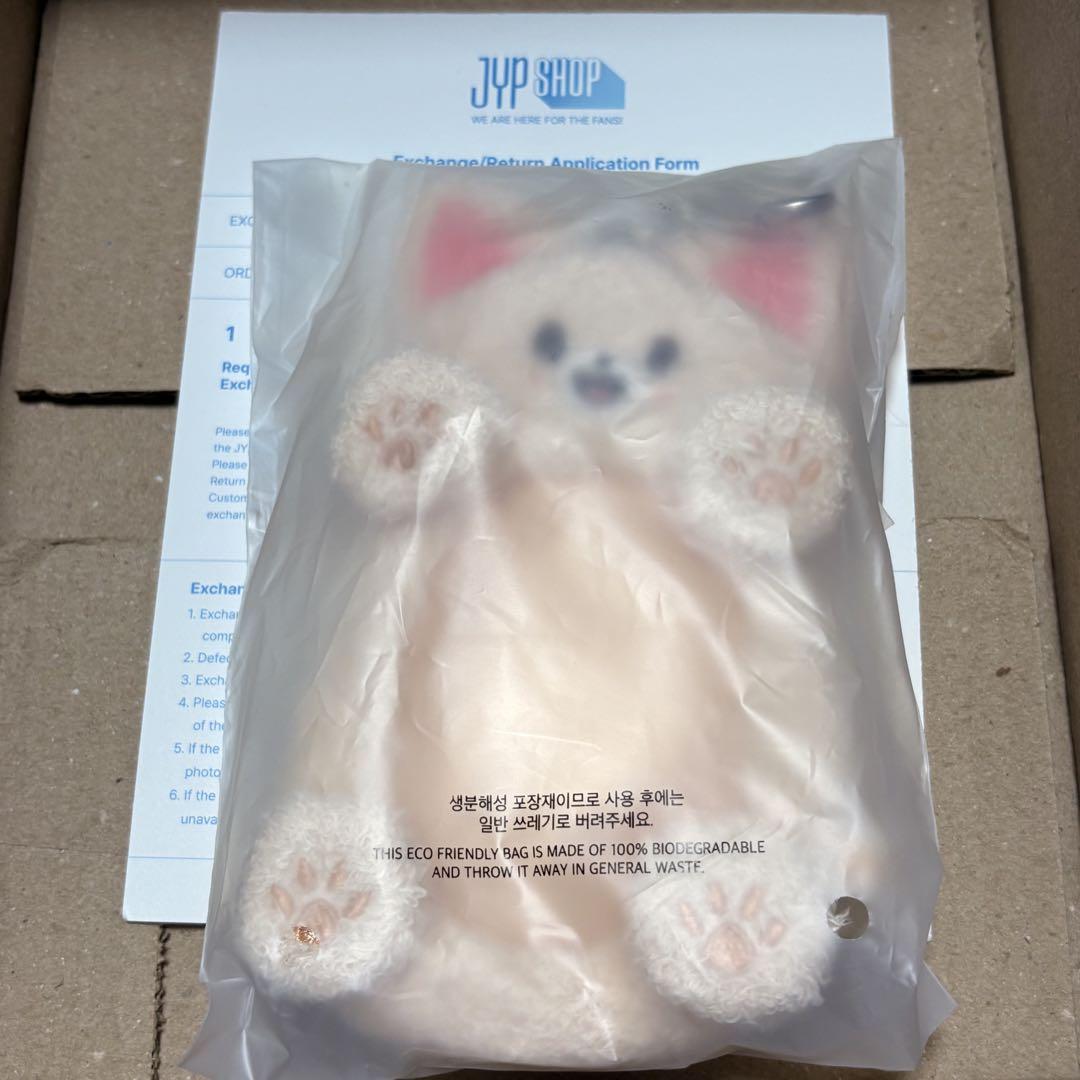 24 アイエン フォクシニー StrayKids スキズ 10cmぬい ペンミ