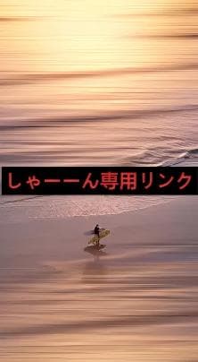 しゃーん リンク目立った傷や汚れなし