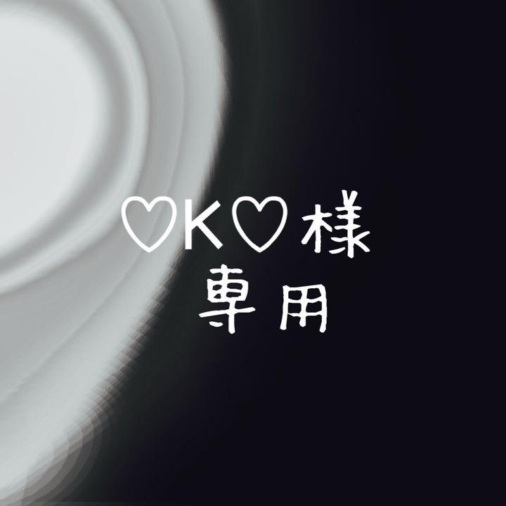 グレイ系【国内正規総代理店アイテム】 ♡K♡様専用ページ その他 大きい割引 専用代理ページ 家庭用ゲーム本体
