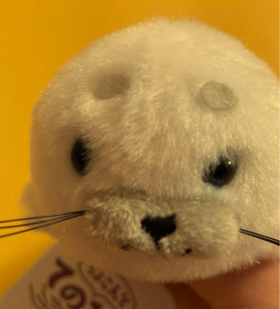 アザラシぬいぐるみ作成キット