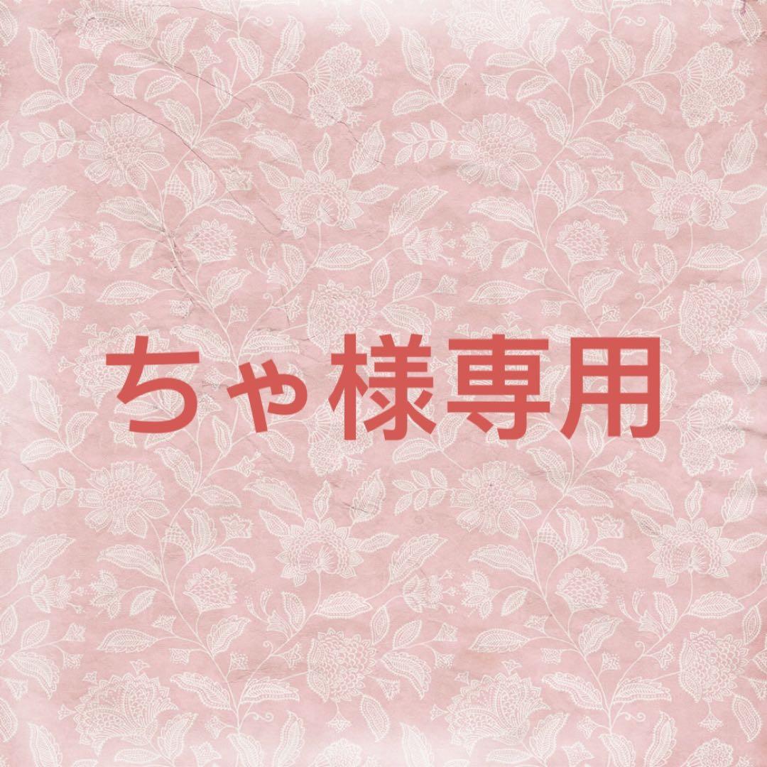 ちゃ様確認専用ページ【取り置き中　4月20日まで】