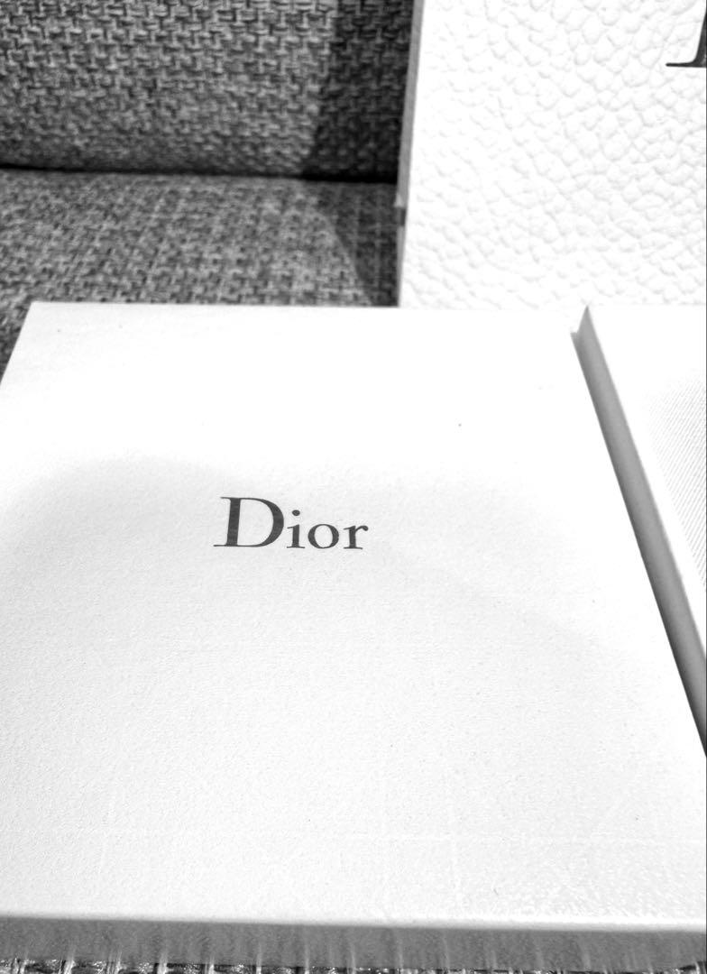 正規品　美品　希少　Christian Dior ロゴ　ラインストーン　ピアス