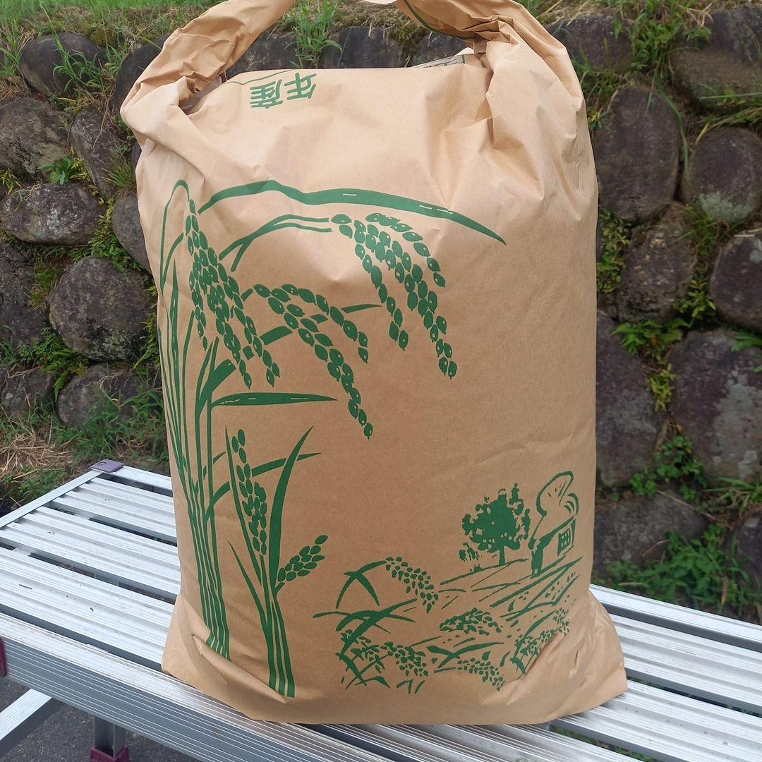 令和6年新米　コシヒカリ玄米 30㎏