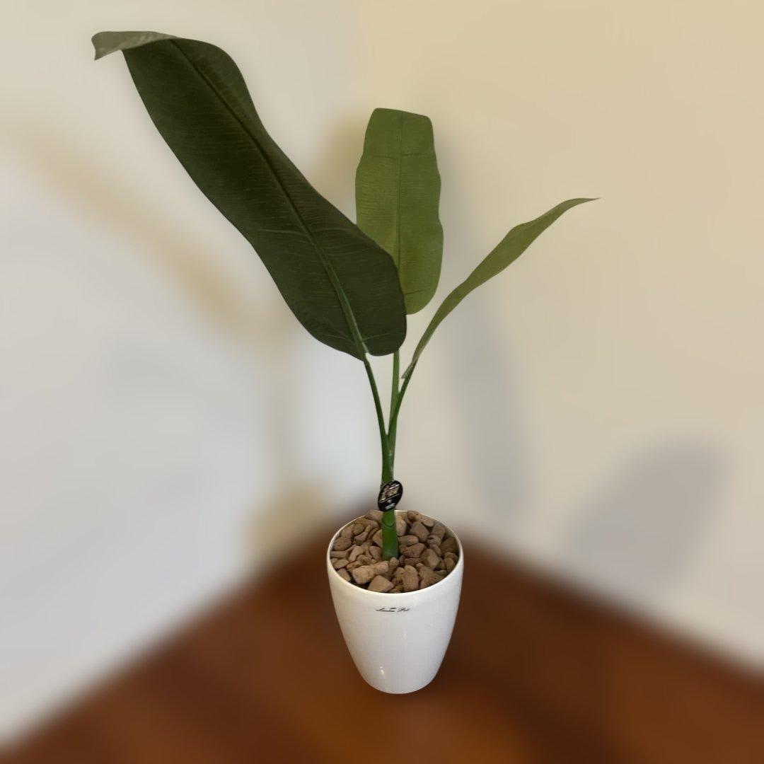 光触媒人工観葉植物 ホワイトポット付き V-CAT