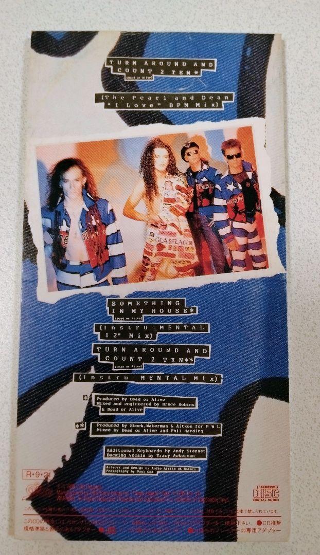 ペトロールズ PETROLZ 廃盤アルバムCD Renaissance