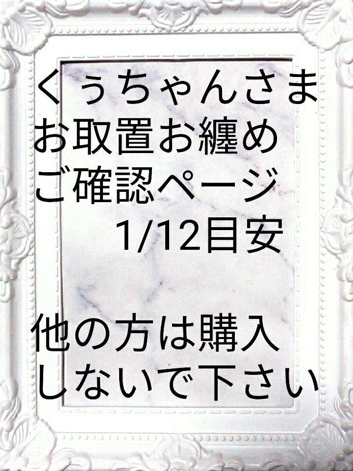 くぅちゃん様 お取置きお纏め レジンピアス1点 クリップ1点 レジン