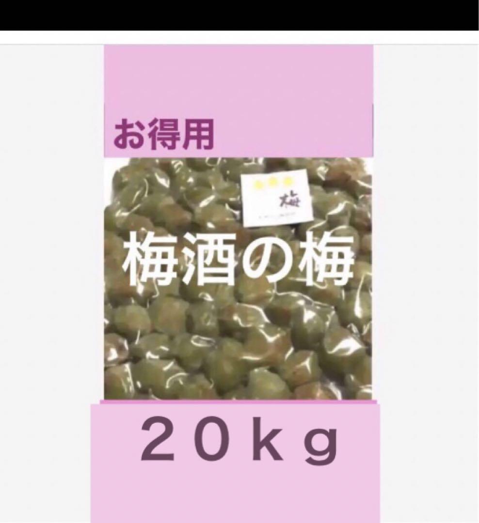 大量 梅酒の梅 ２０ｋｇ 訳あり