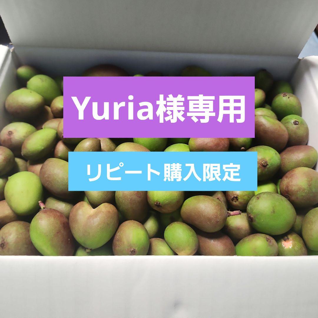 沖縄県産 摘果マンゴー 青マンゴー