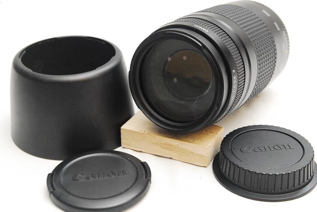 CANON ZOOM LENS EF 75-300mm 1:4-5.6 Ⅱ