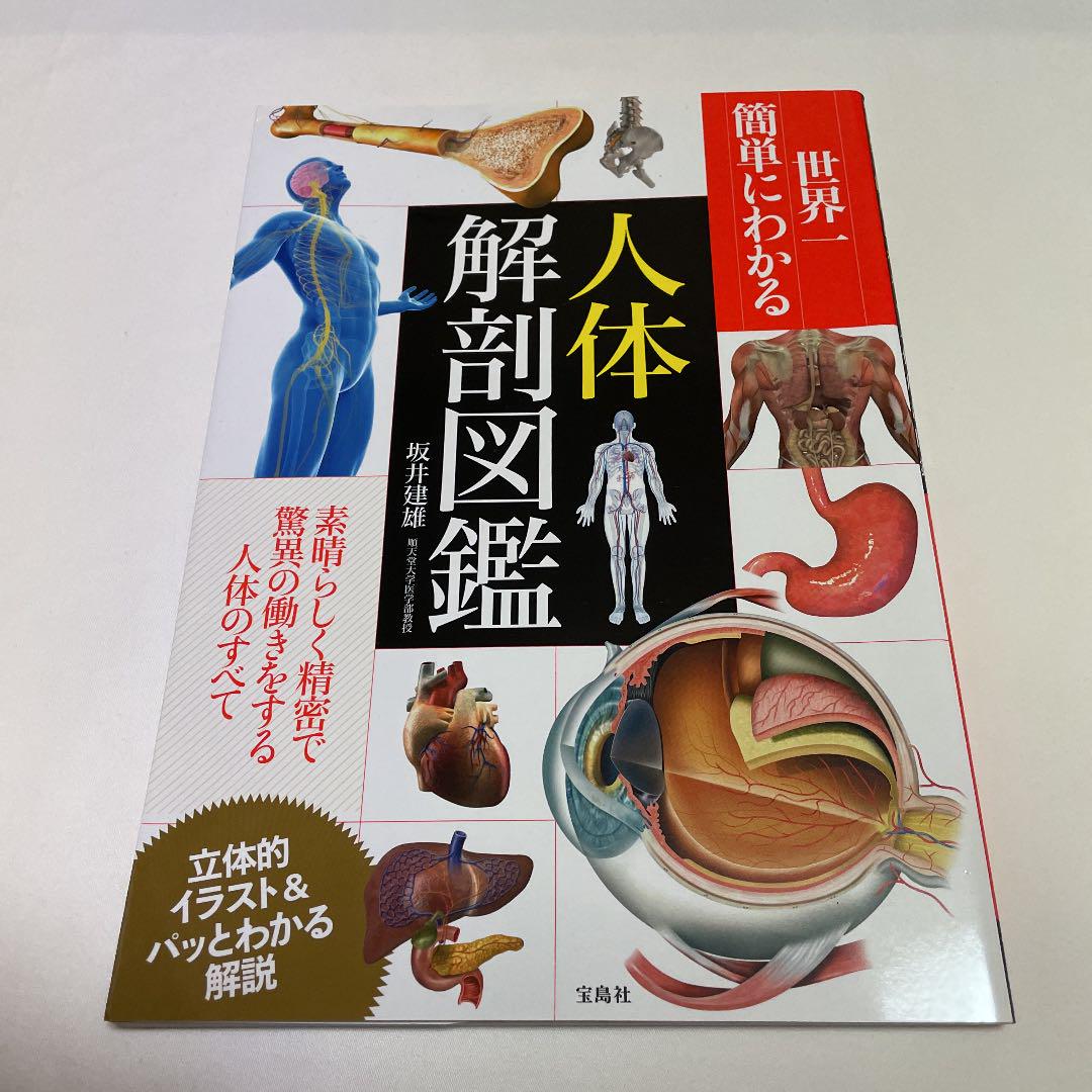 ホワイト系人気沸騰ブラドン yujin ガチャポン 人体解剖図鑑I 神経解剖頭骨 フルコンプ 模型/プラモデル おもちゃ・ホビー・グッズホワイト系¥28,656-www.dawajen.bh ホワイト系人気沸騰ブラドン yujin ガチャポン 人体解剖図鑑I 神経解剖頭骨 フルコンプ 模型/プラモデル おもちゃ・ホビー・グッズホワイト系¥28,656-www.dawajen.bh