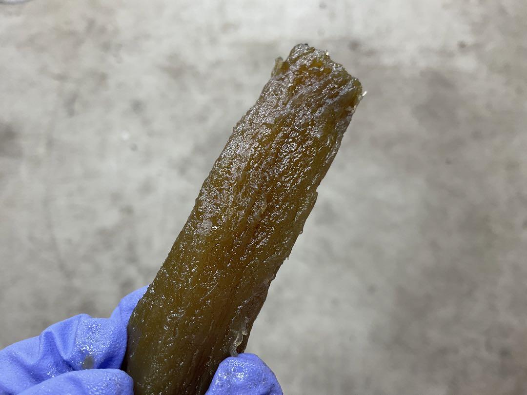 クロタ　訳あり　茨城県　ひたちなか産　10kg（箱込）
