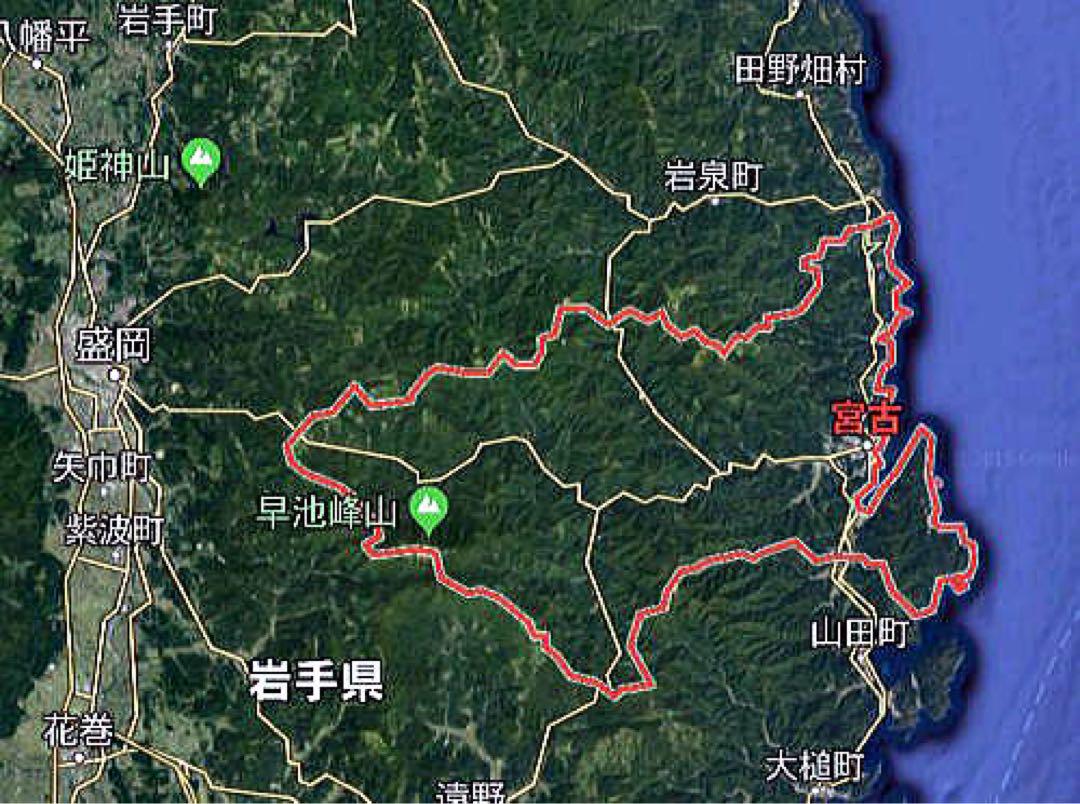 2024年　10月中旬　採取　岩手県産　香茸100g