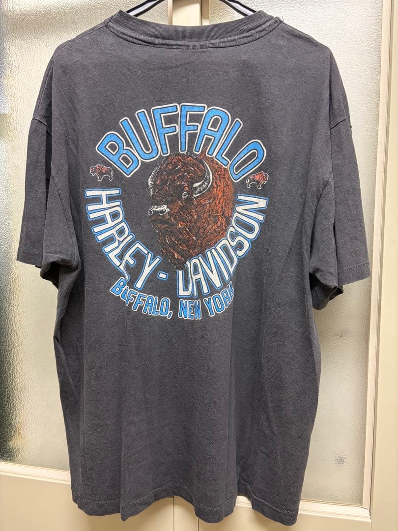 HARLEY-DAVIDSON ブルーフレイムスTシャツ イーグル サンダー ロゴ