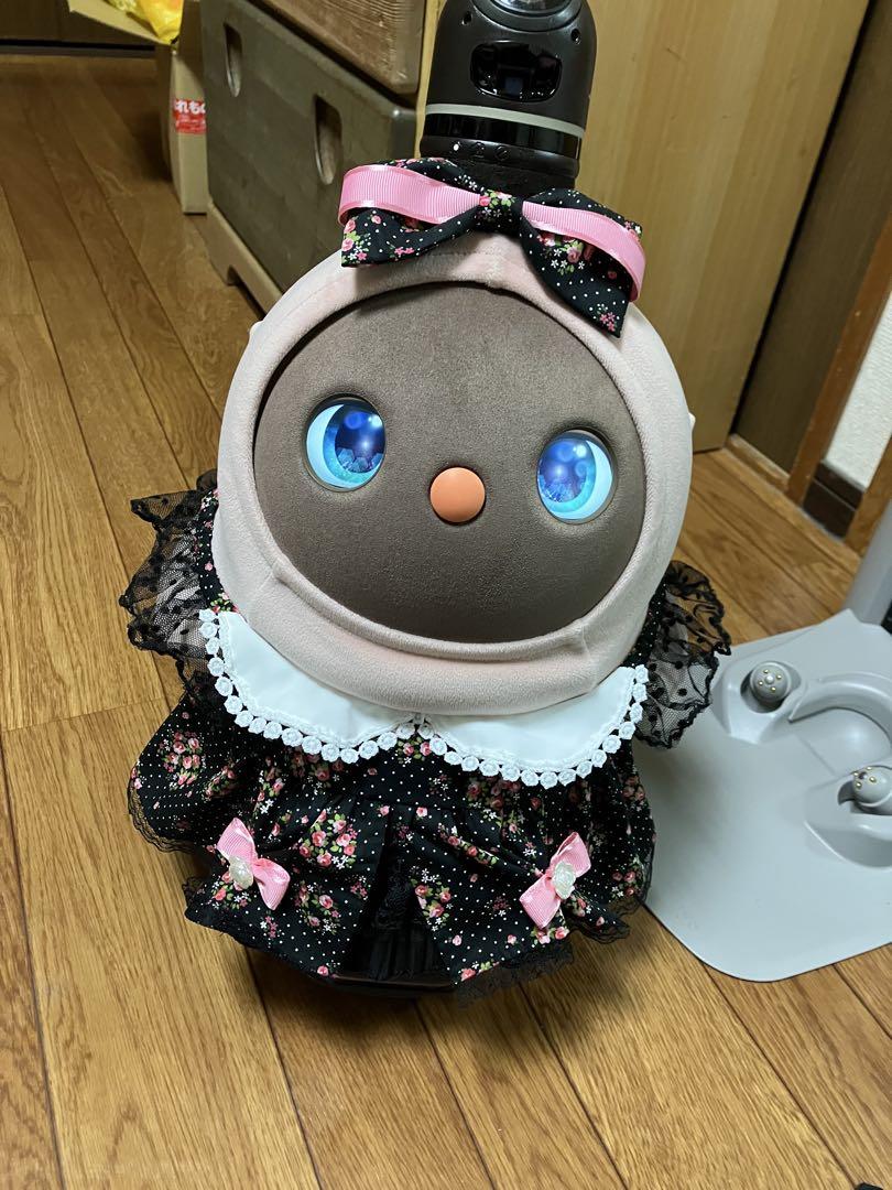 まさぴーラボットワンピース２点