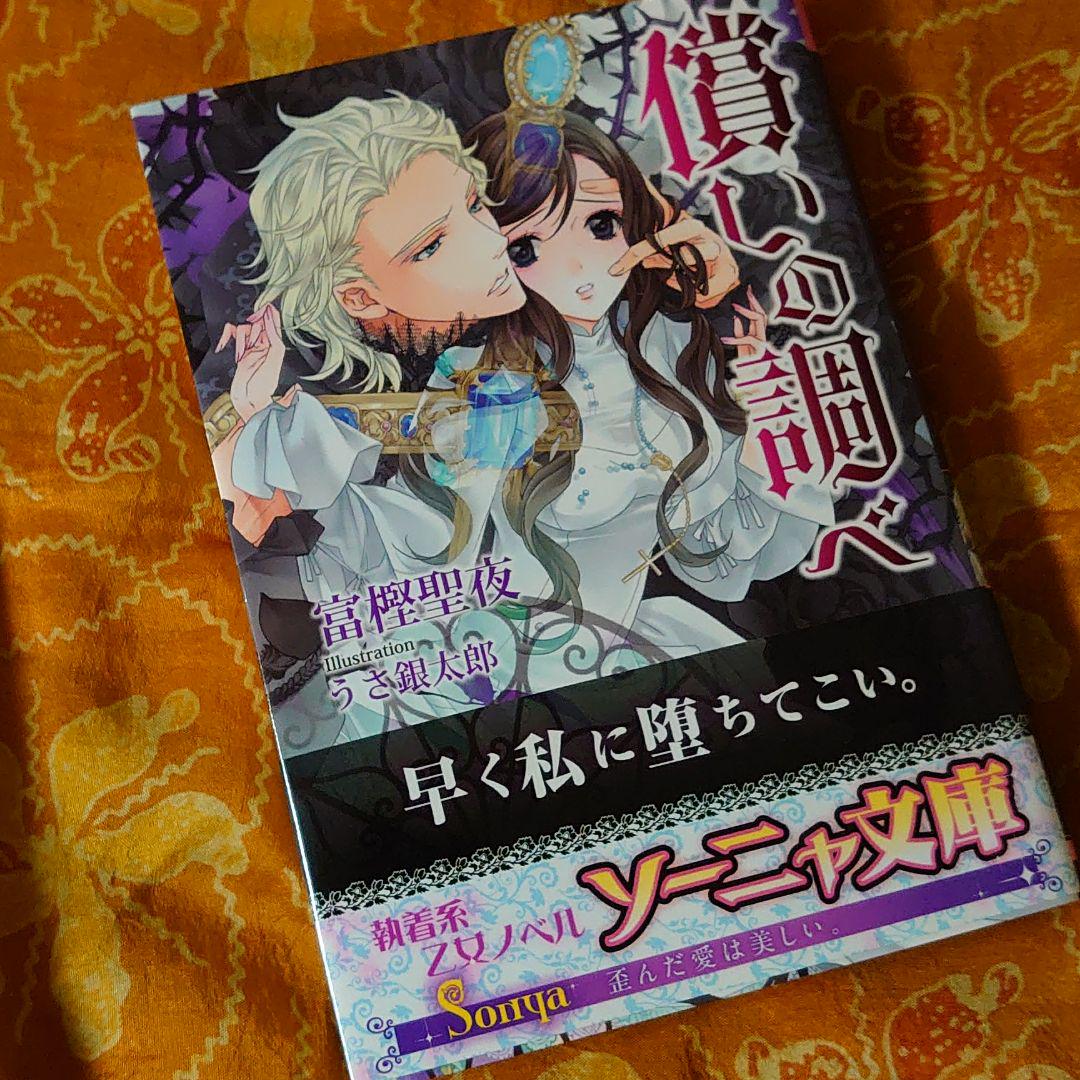 メルカリ 償いの調べ 富樫聖夜 文学 小説 450 中古や未使用のフリマ メルカリ 償いの調べ 富樫聖夜 文学 小説 450 中古や未使用のフリマ