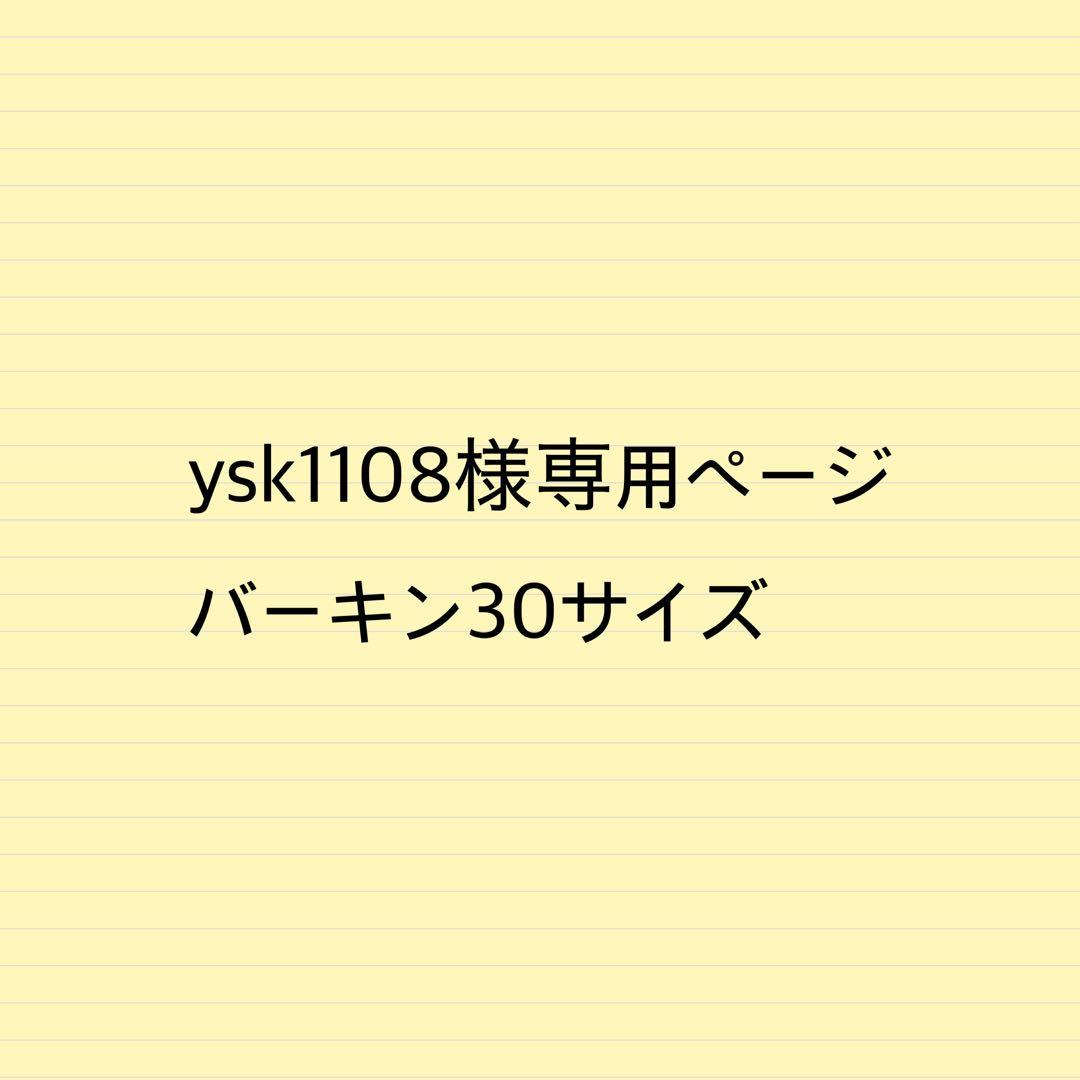 ysk1108様専用ページB30サイズバッグインバッグ
