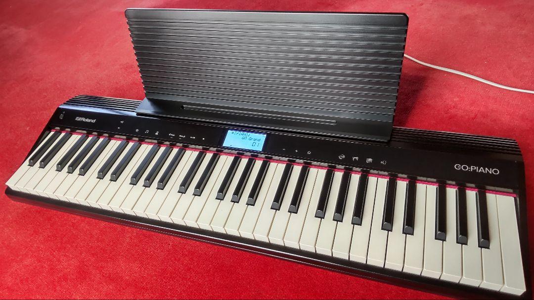ROLAND GO PIANO　専用ソフトケース付き
