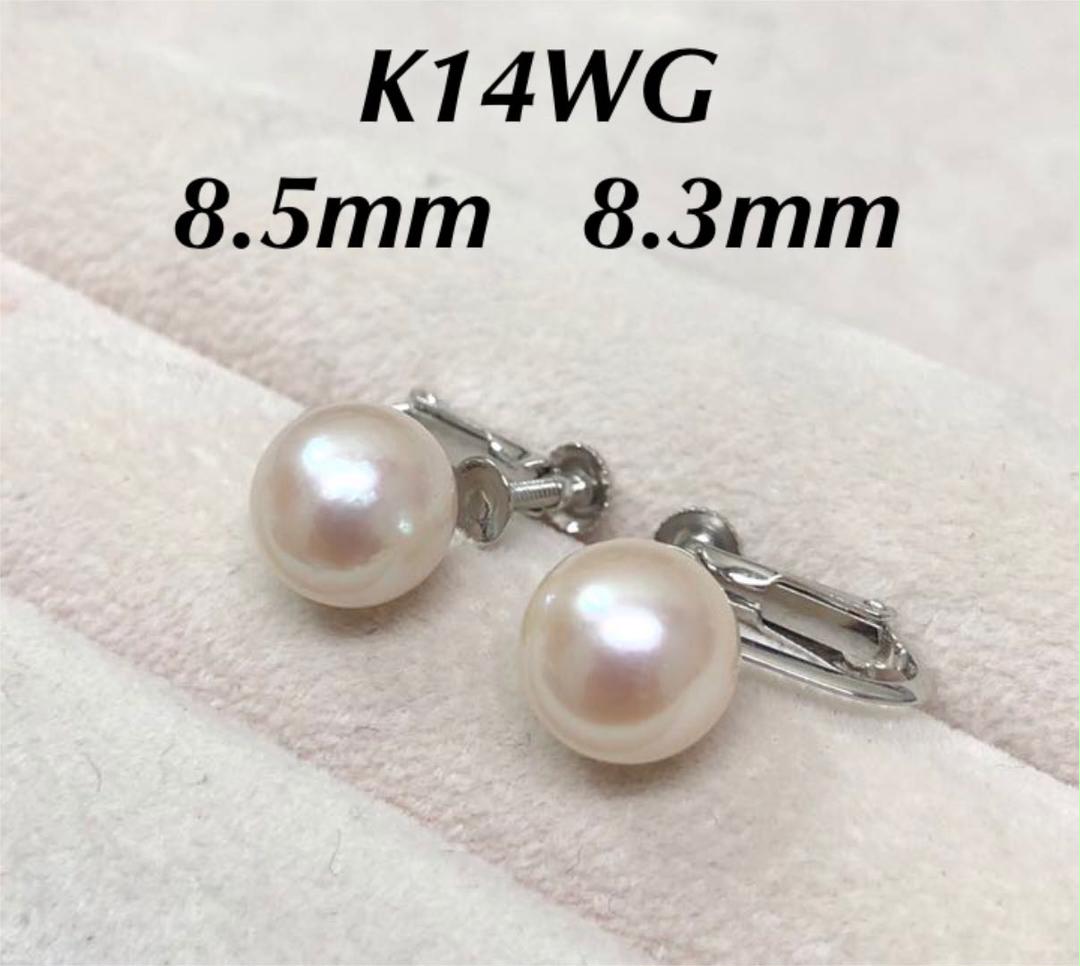 アコヤ真珠 パールイヤリング K14WG 8.5mm 8.3mm