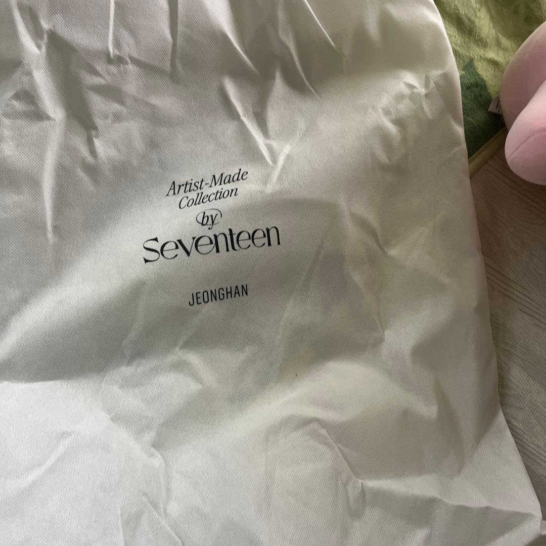 SEVENTEEN セブチ ジョンハン トラム アーティストメイド アイドル