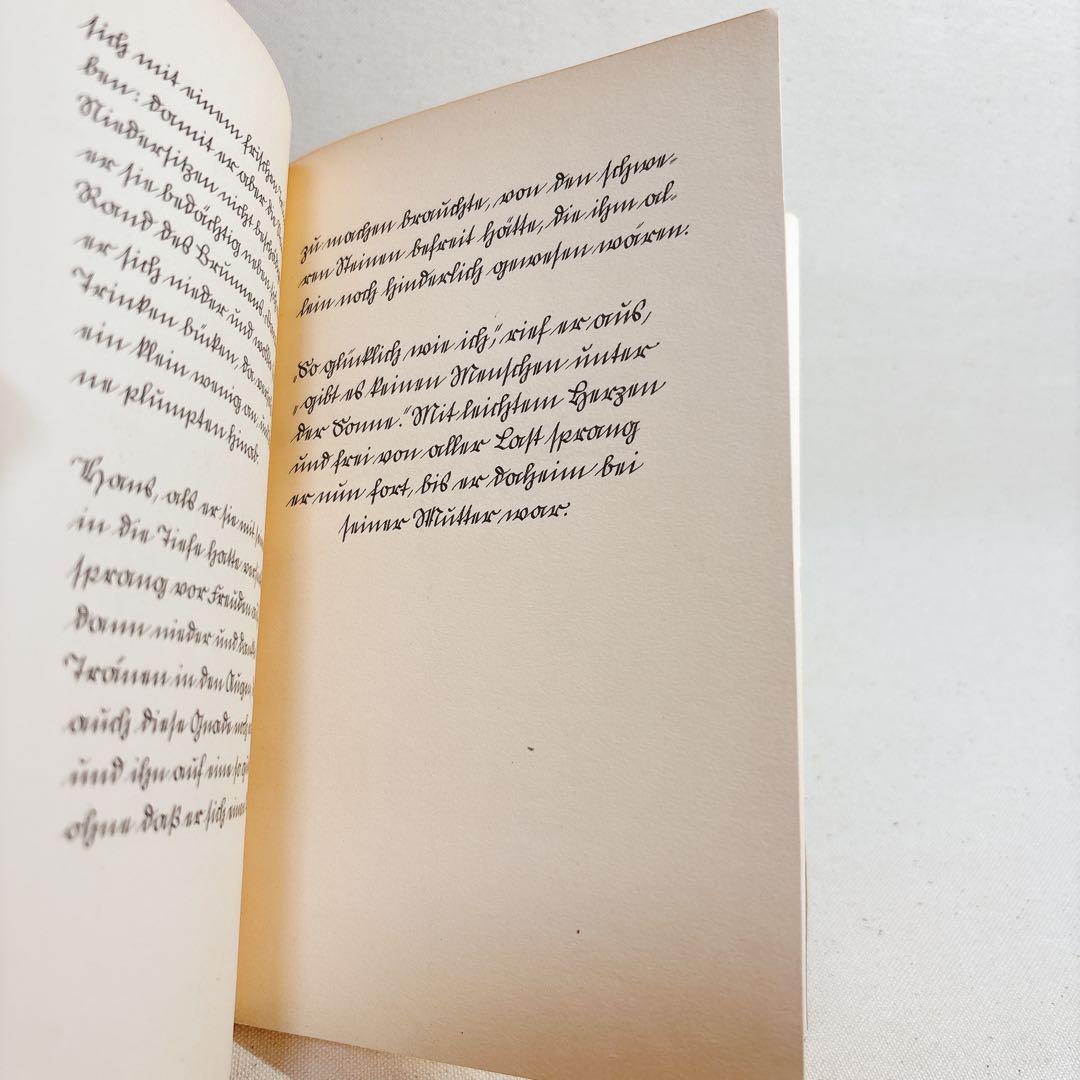 洋書　インゼル文庫　530 幸せなハンス Hans im Gluck ドイツ
