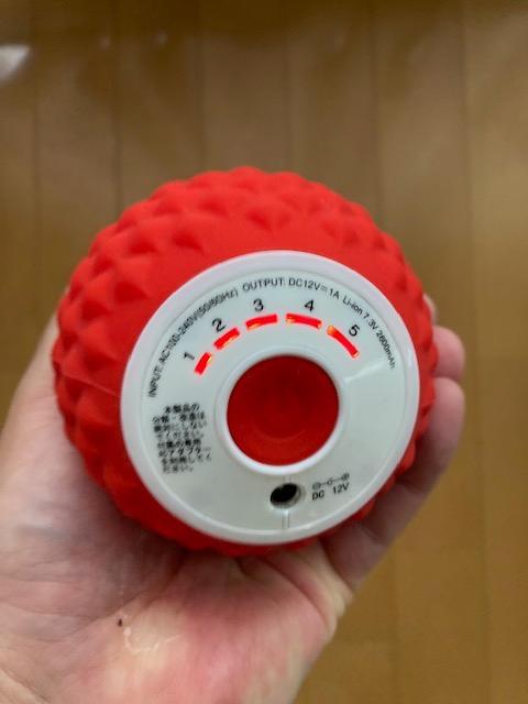 【セーラ】フィットネスクラブがつくったシェイプツインボール