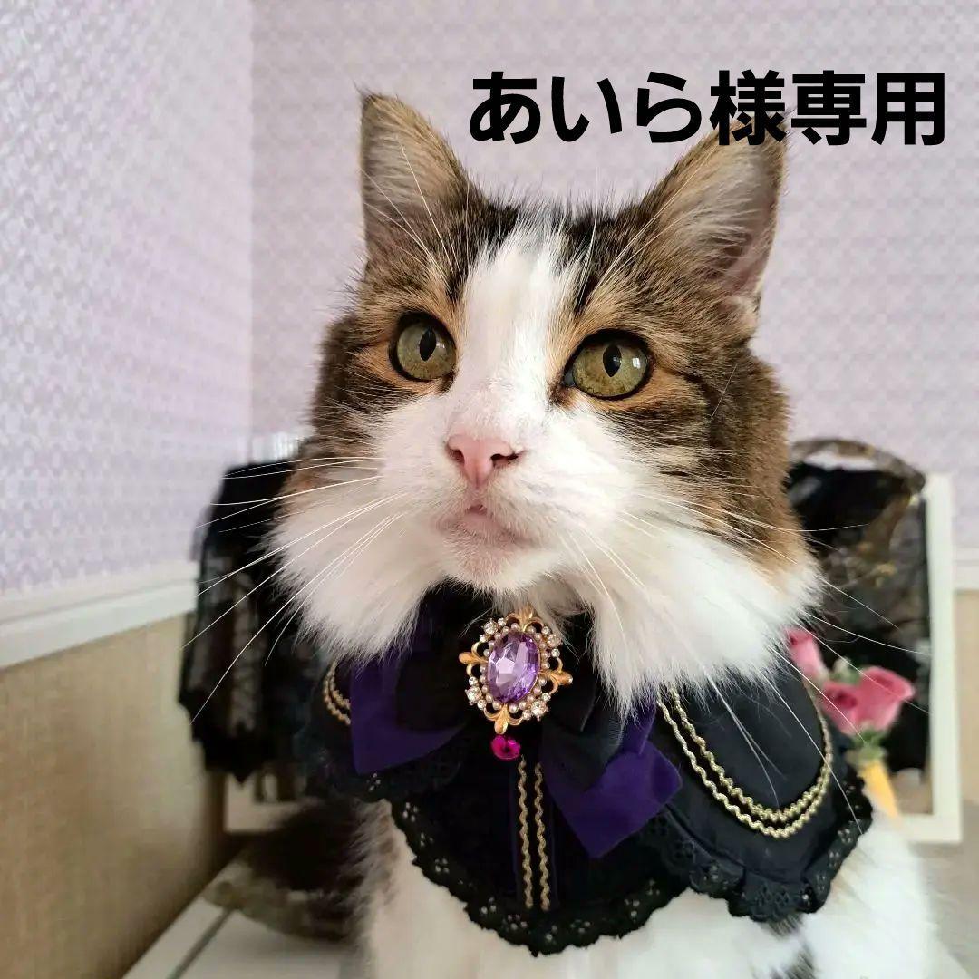 あいら、ハロウィンマントセット&スタイセット③わんちゃん猫ちゃん用