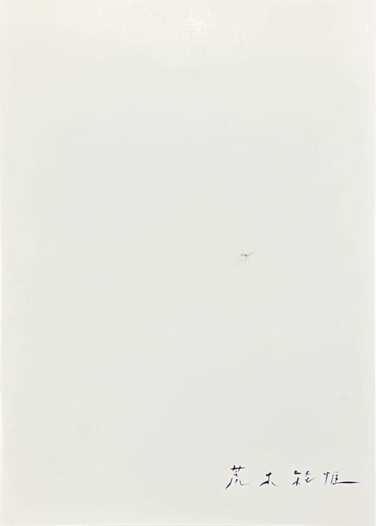 荒木経惟 Aの愛人 1992 オフセット作品 荒木経惟 Aの愛人 1992 オフセット作品