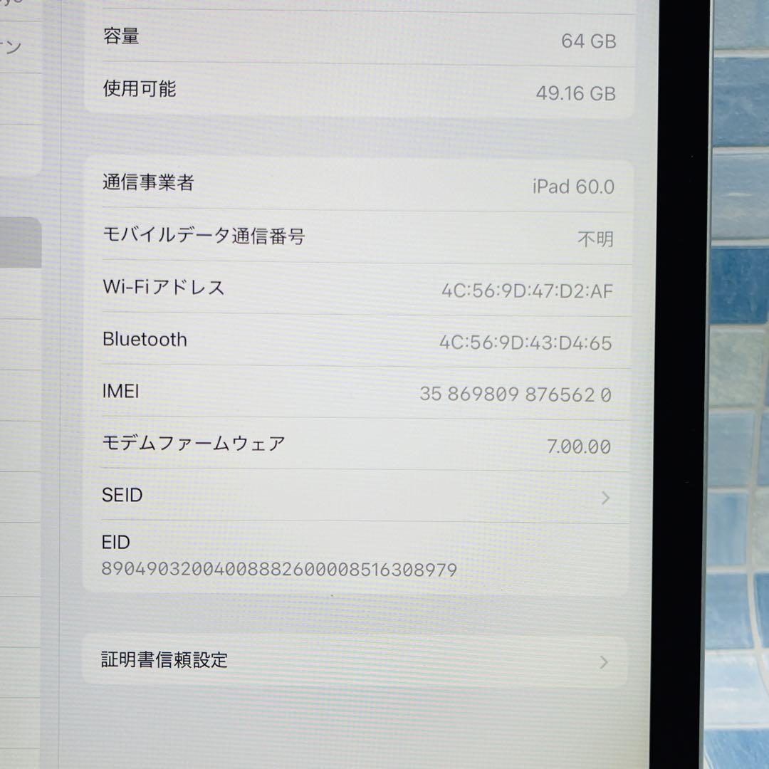 iPad