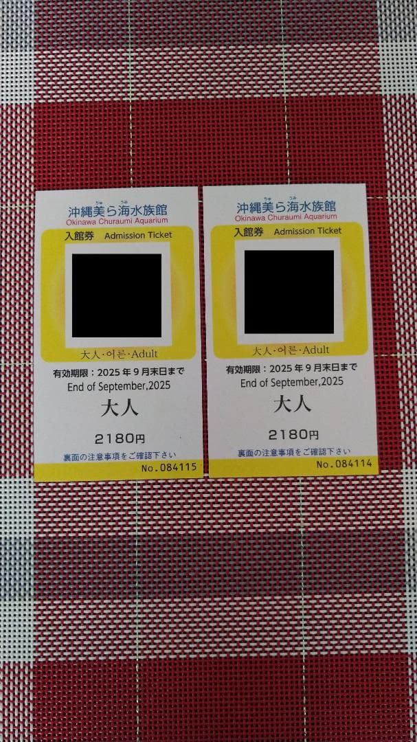 沖縄美ら海水族館 大人入場券 2180円 3枚 沖縄美ら海水族館 入園チケット 大人3枚